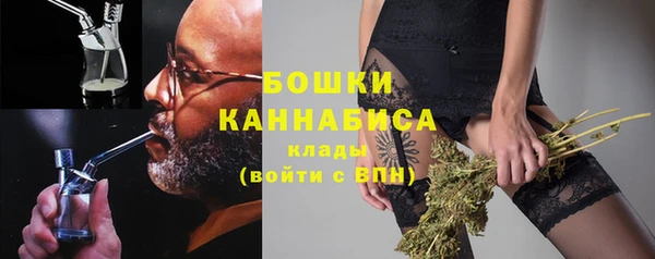 сатива Зеленодольск
