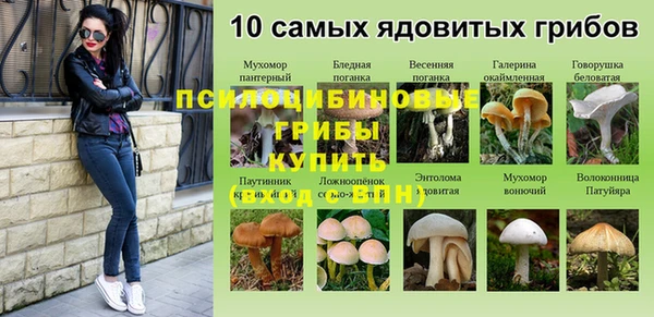 сатива Зеленодольск