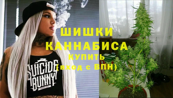 сатива Зеленодольск