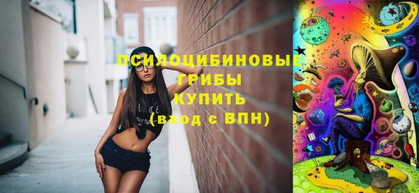 сатива Зеленодольск