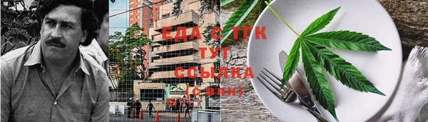 сатива Зеленодольск